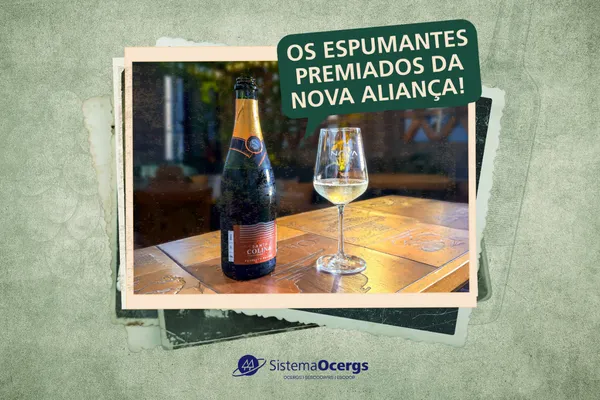 Tradição e conquistas da Nova Aliança atravessam fronteiras 