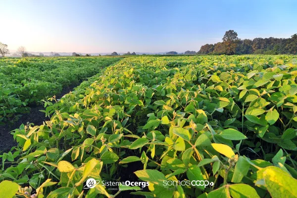 Governo lança novas linhas de crédito para produtores rurais