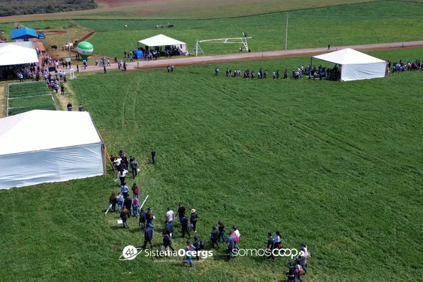 Tecnologia, gestão e cooperativismo: pilares para o futuro do leite 