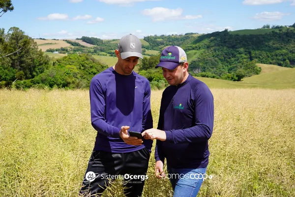 Como a SmartCoop transformou a gestão leite x grãos em Nova Palma