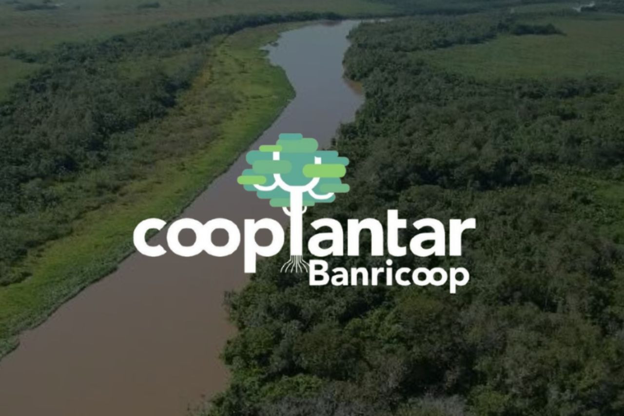 Banricoop promove mutirão ambiental com apoio do Sistema Ocergs