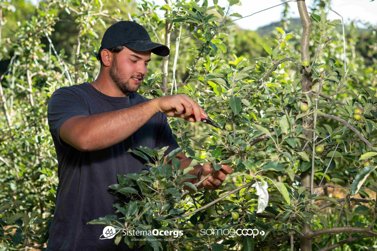 Sicredi oferece bolsas para formar novos técnicos do agro