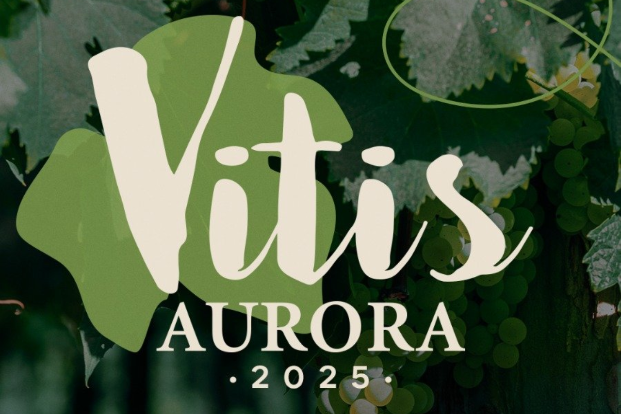 7ª Vitis Aurora