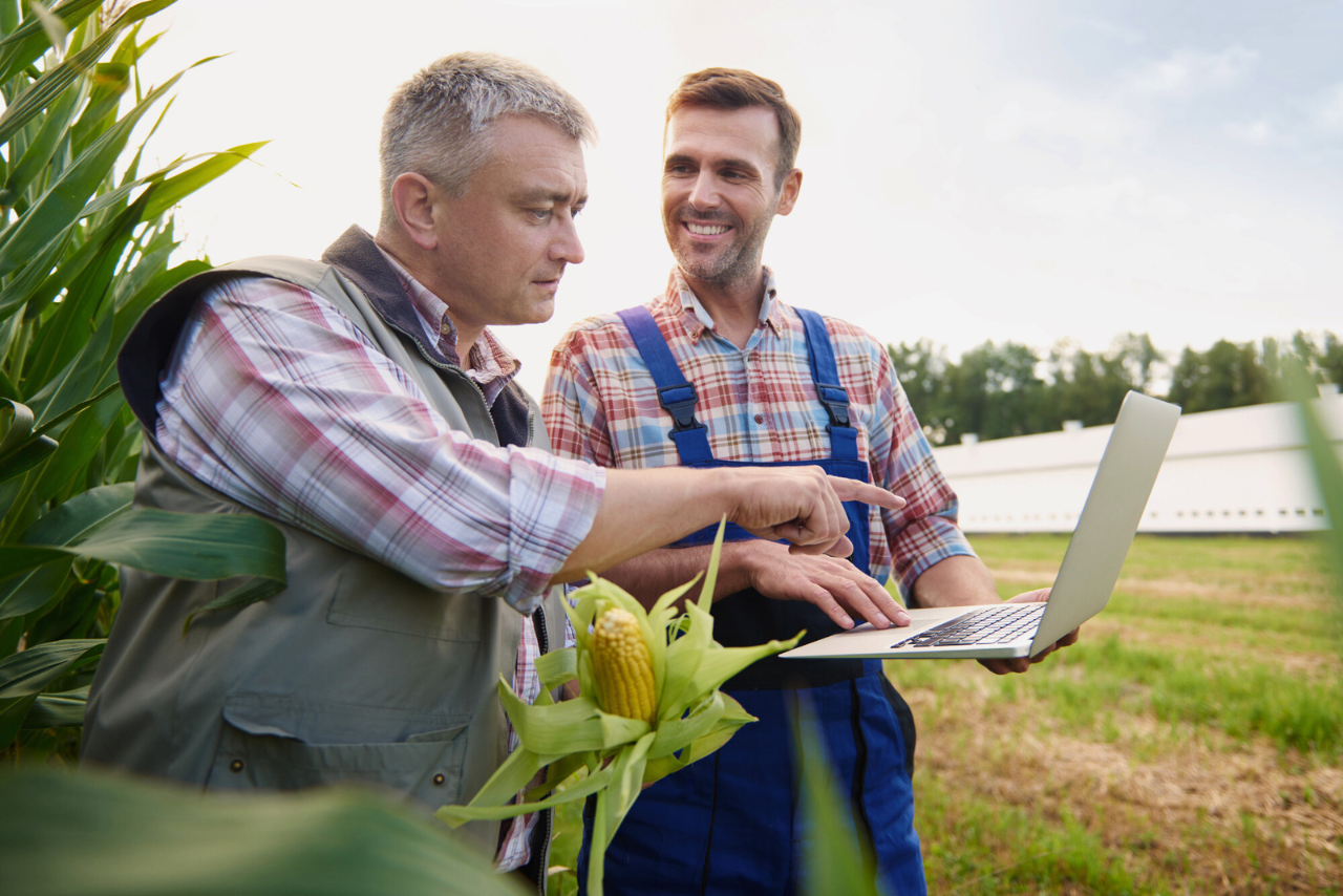 Sistema Ocergs A imagem mostra dois agricultores em um campo de milho, um segurando uma espiga e o outro usando um laptop, sugerindo o uso de tecnologia no trabalho rural. Ao fundo, há vegetação e uma estrutura agrícola.