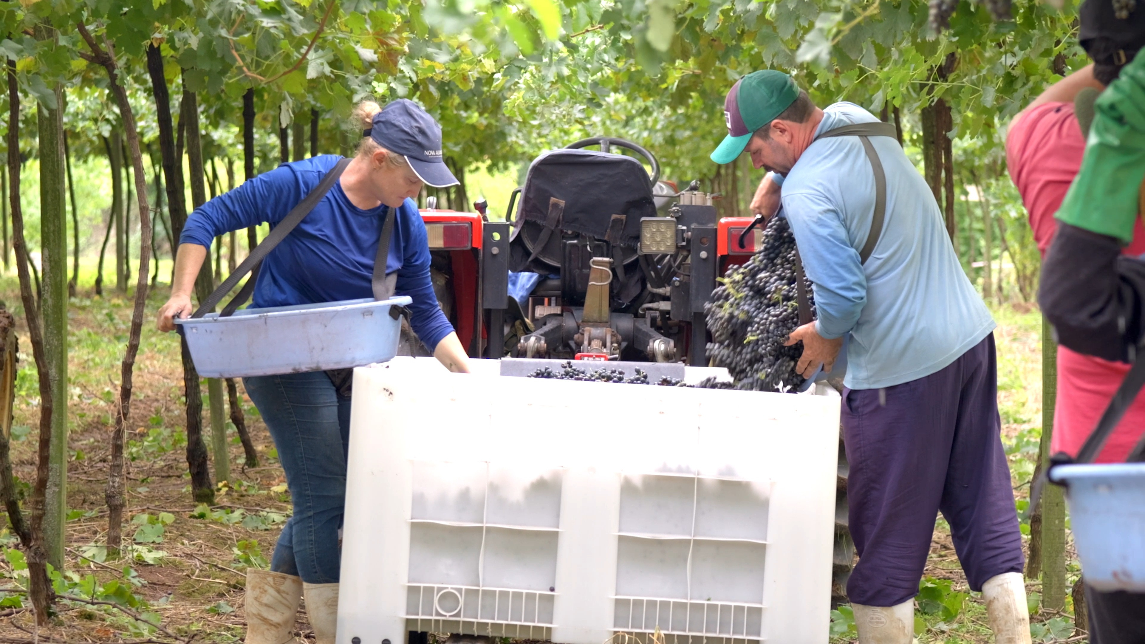 Nova Aliança projeta R$ 10 milhões em investimentos para 2026