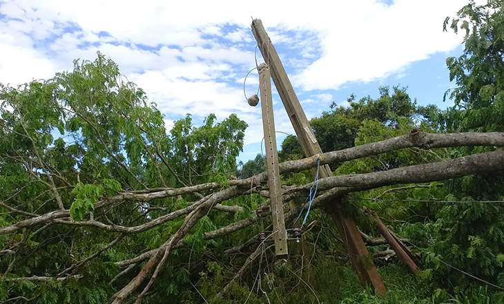 Certaja já restabeleceu a energia em 96% das residências afetadas pelo temporal