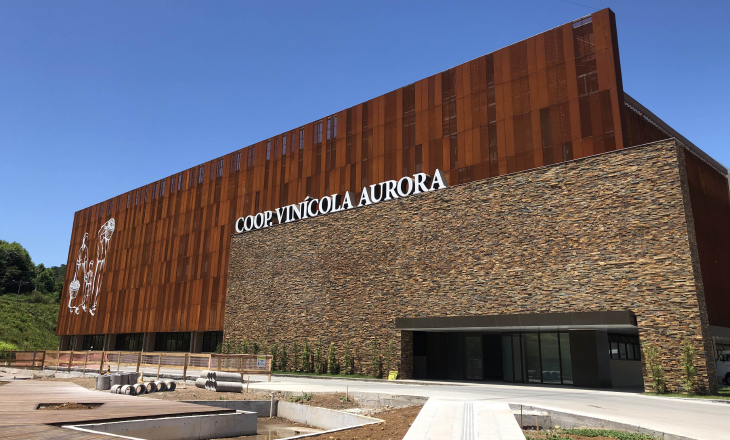 Vinícola Aurora celebra 89 anos com faturamento histórico de R$ 558 milhões