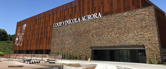 Vinícola Aurora celebra 89 anos com faturamento histórico de  R$ 558 milhões