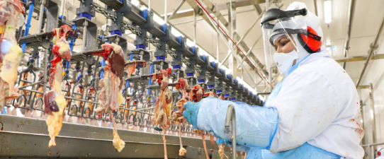 Dália pode exportar carne de frango a países de origem muçulmana