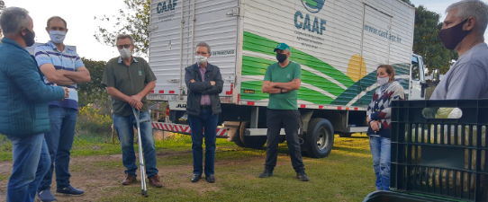 Alimentos da agricultura familiar são entregues a entidades assistenciais de Caxias do Sul