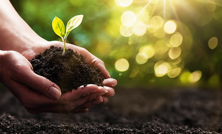 MMA lança Floresta+ Agro