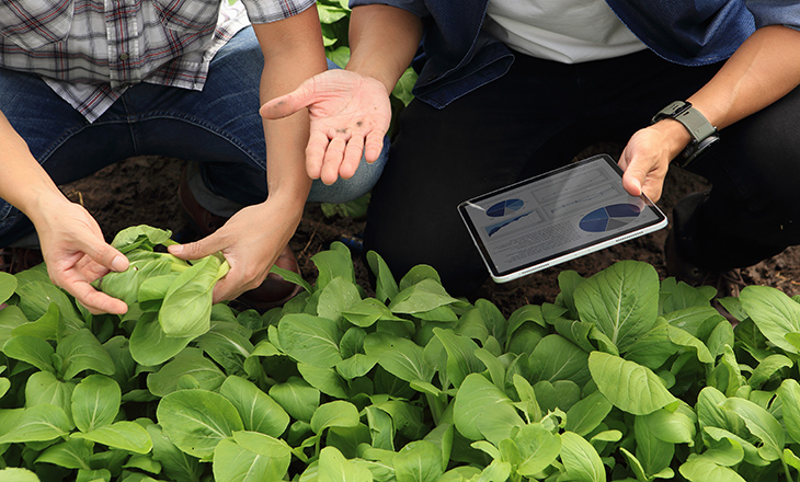 Agricultura de precisão avança na digitalização