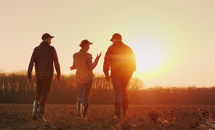 Sancionada, com vetos, lei de apoio à agricultura familiar