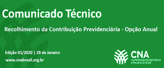 Base de incidência da contribuição previdenciária para 2020 é optativa