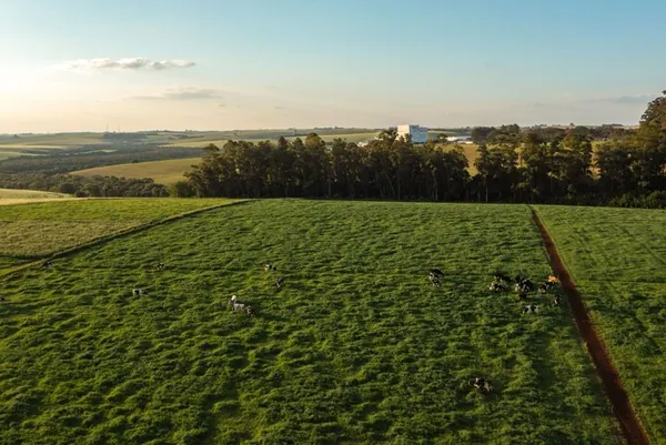 CCGL distribui R$ 195 milhões e impulsiona municípios gaúchos