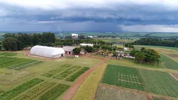 CCGL faz 50 anos em 2026 e celebra a força do cooperativismo